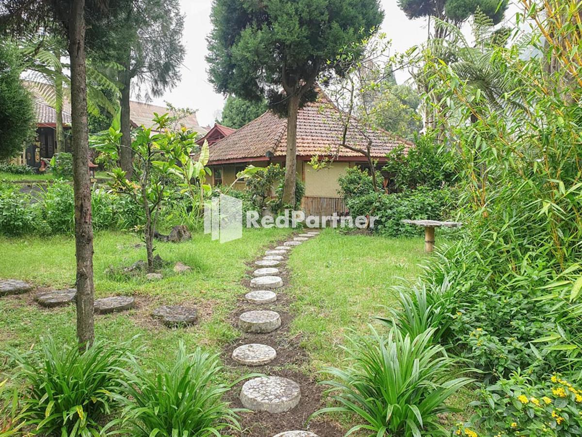 Hotel Yoschi'S Bromo At Desa Wisata Bromo Ngadisari Exterior foto